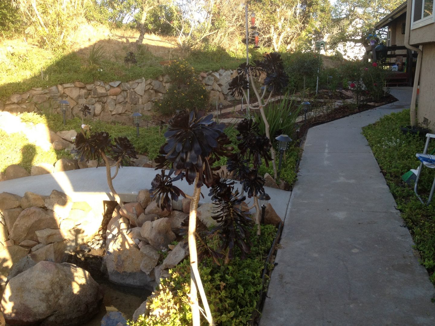 2406 photo 25